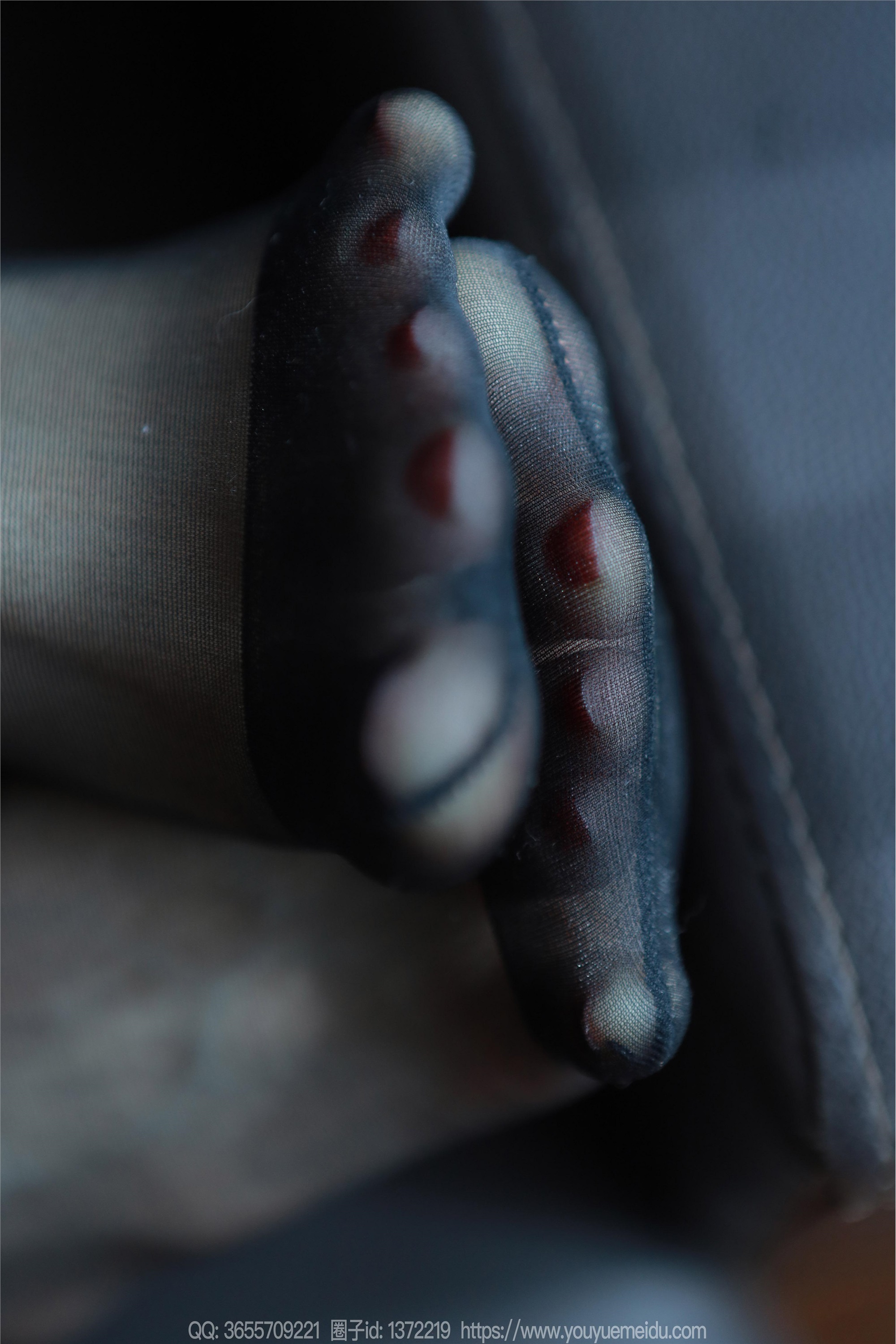 IESS异思趣向  2024.08.27 丝享家 1830 团团《黑丝JK》